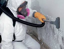 Best Mold Prevention Services  in Republic, PA